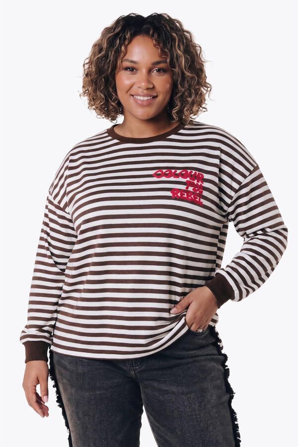 Colourful Rebel Curve katoenen gestreepte sweater bruin