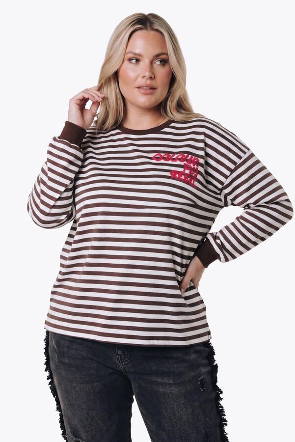 Colourful Rebel Curve katoenen gestreepte sweater bruin - Foto 2