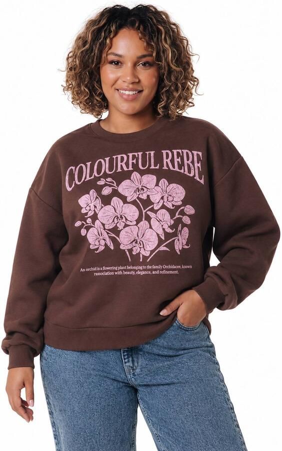 Colourful Rebel Curve Plus Size sweater met print donkerbruin