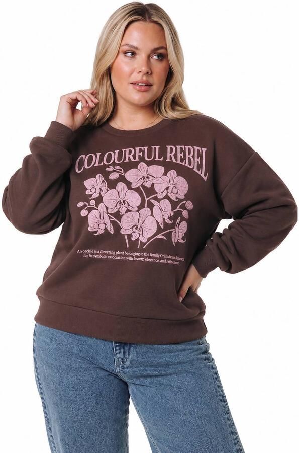 Colourful Rebel Curve Plus Size sweater met print donkerbruin - Foto 2