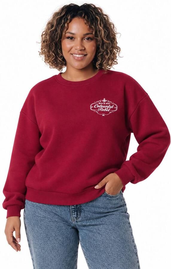Colourful Rebel Curve Plus Size sweater met tekst rood