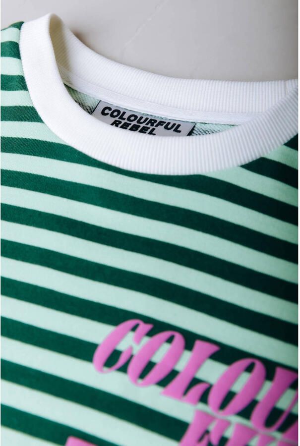 Colourful Rebel Curve sweater Plus Size met logo groen - Foto 2