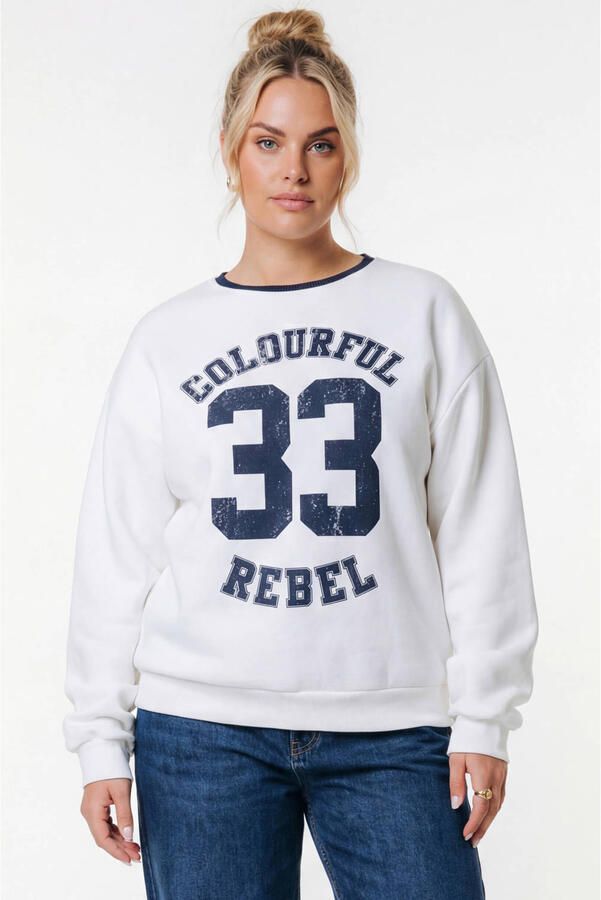 Colourful Rebel Curve sweater wit
