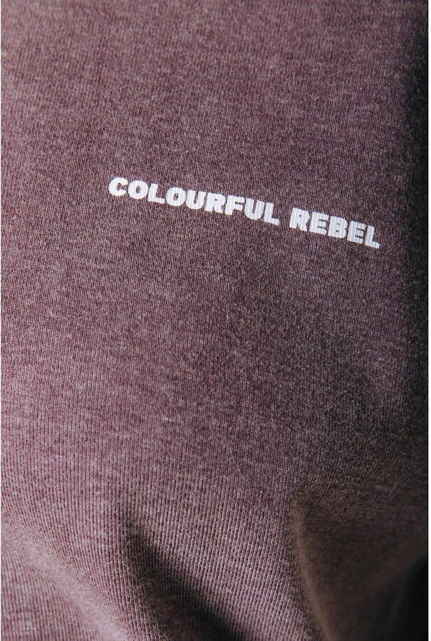 Colourful Rebel Curve T-shirtjurk Plus Size met print bruin - Foto 2