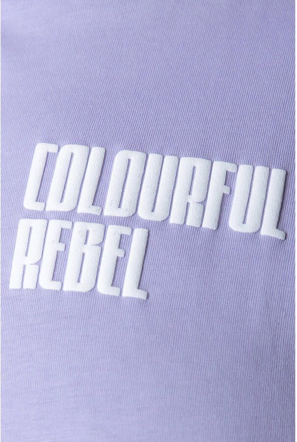 Colourful Rebel Curve top Plus Size met print paars - Foto 2