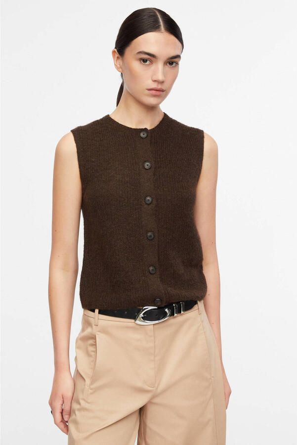 Comma top bruin