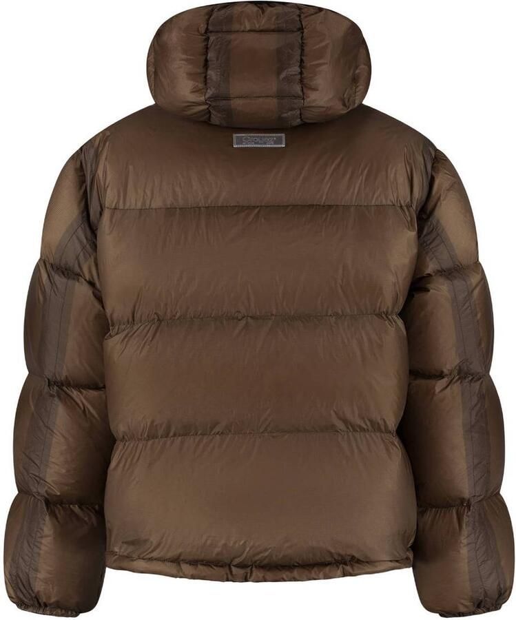 Croyez pufferjas bruin