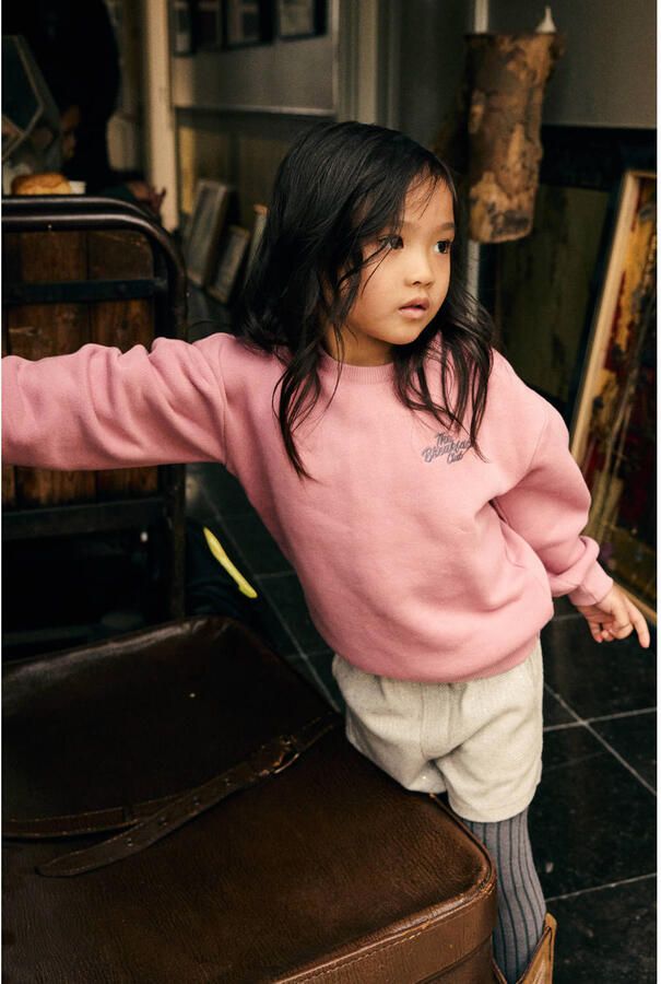 Daily7 rechtvallende sweater met backprint oudroze - Foto 2