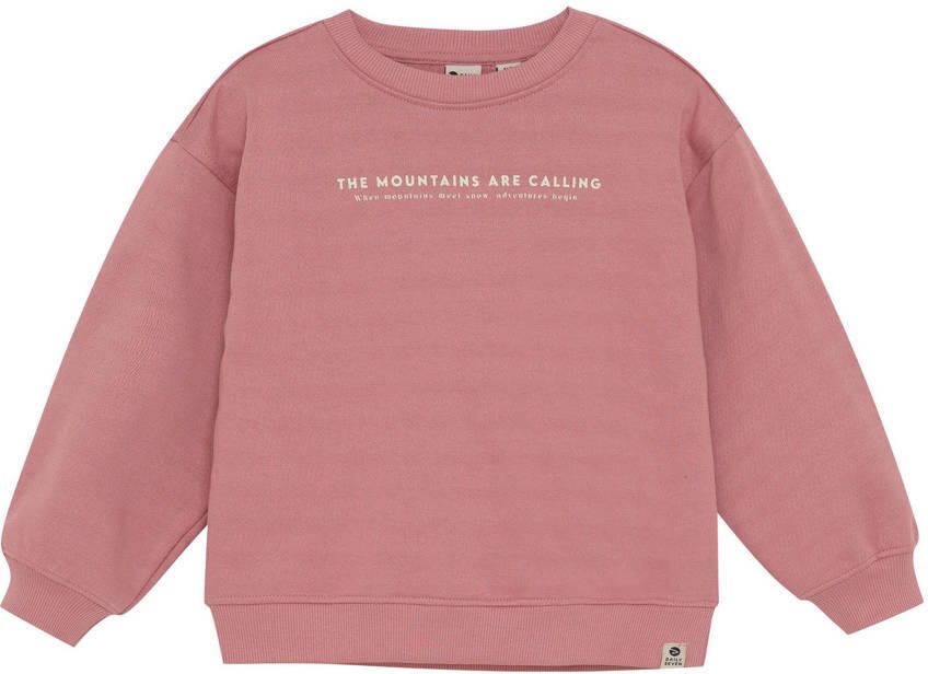 DAILY7 Jongens Truien & Vesten Oversized Sweater Backprint Roze - Foto 4