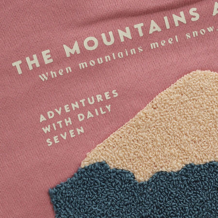 DAILY7 Jongens Truien & Vesten Oversized Sweater Backprint Roze - Foto 3