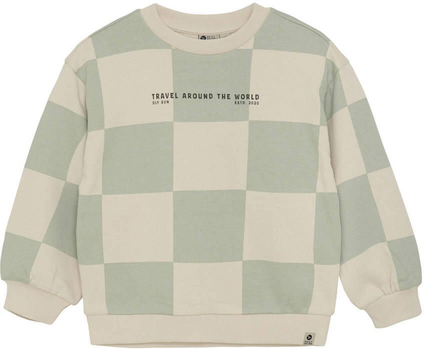 DAILY7 Jongens Truien & Vesten Oversized Sweater Check Print Multi - Foto 5