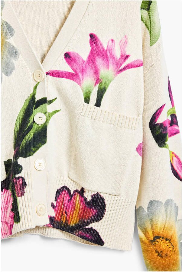 Desigual Lente Zomer Damesvest Multicolor Dames