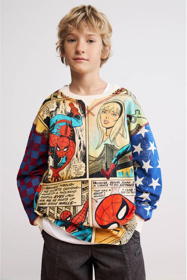 Desigual katoenen trui met print meerkleurig