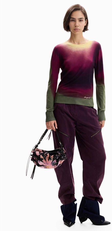 Desigual pullover met print meerkleurig