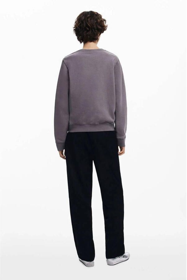 Desigual sweater grijs