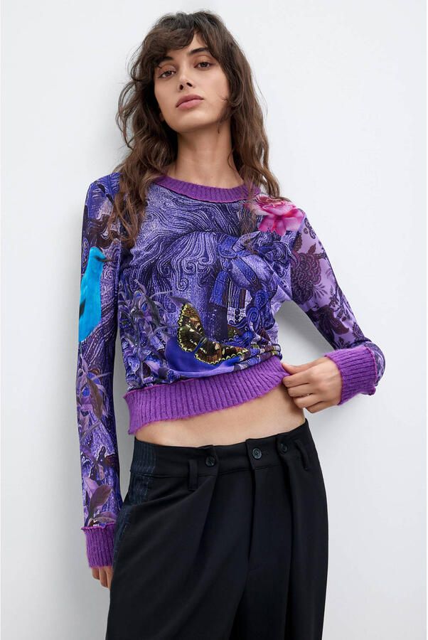 Desigual T-Shirt Lange Mouw TS_HORSE_LACROIX 26WWTK60