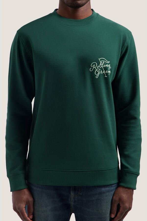 Dstrezzed regular fit sweater met backprint groen