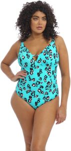 Elomi +size badpak Kotiya met panterprint turquoise zwart wit