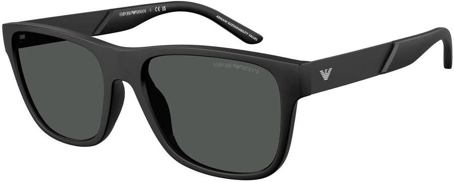 Emporio Armani zonnebril 0EA4243 zwart