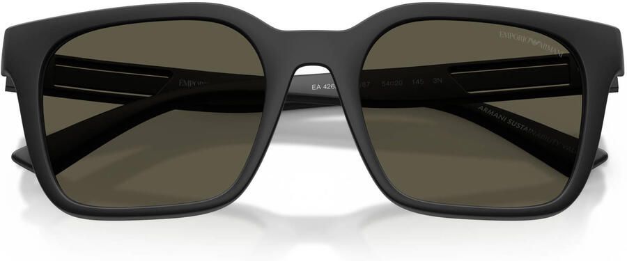 Emporio Armani zonnebril 0EA4269 zwart - Foto 2