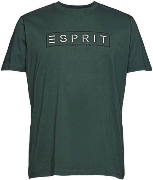 ESPRIT Men Casual T-shirt met logo teal blue