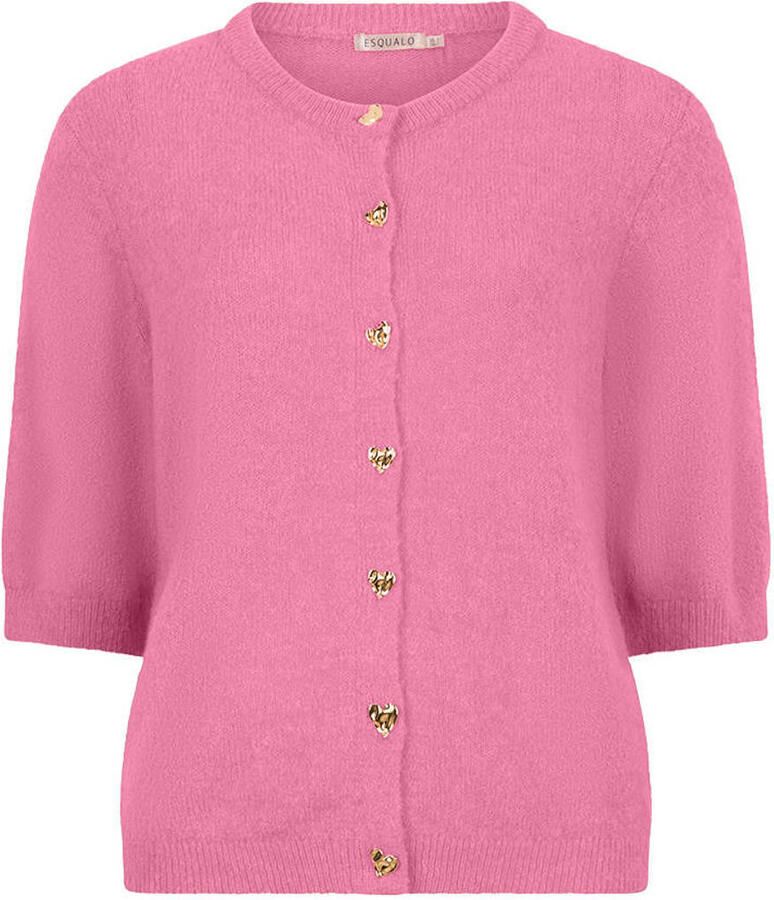 Esqualo gebreid vest met hartjes roze