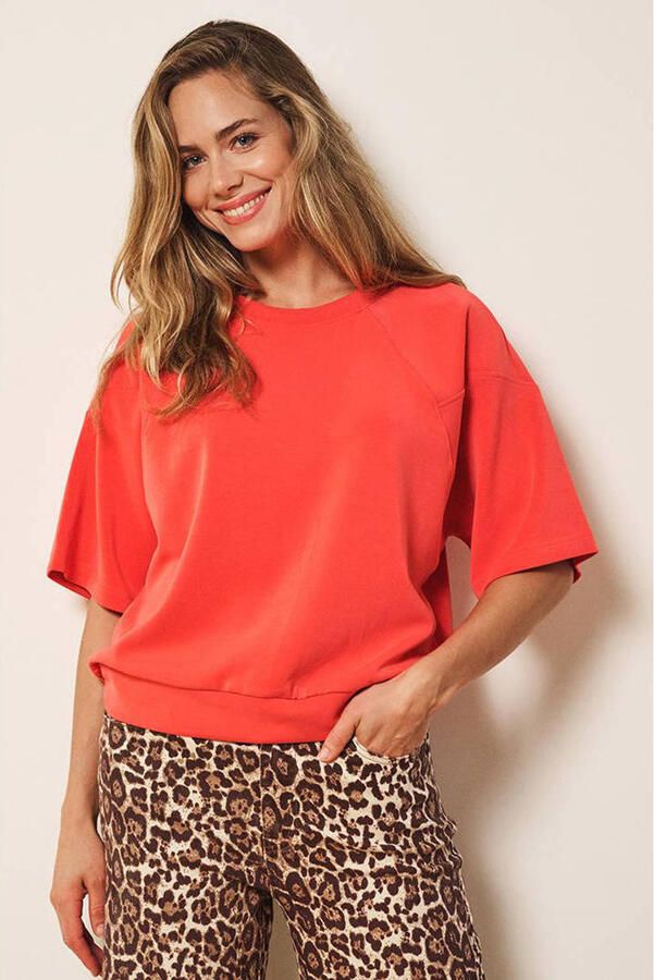 Esqualo top rood