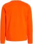 Anytime longsleeve T-shirt oranje Jongens Katoen Ronde hals Effen 110 116 - Thumbnail 2