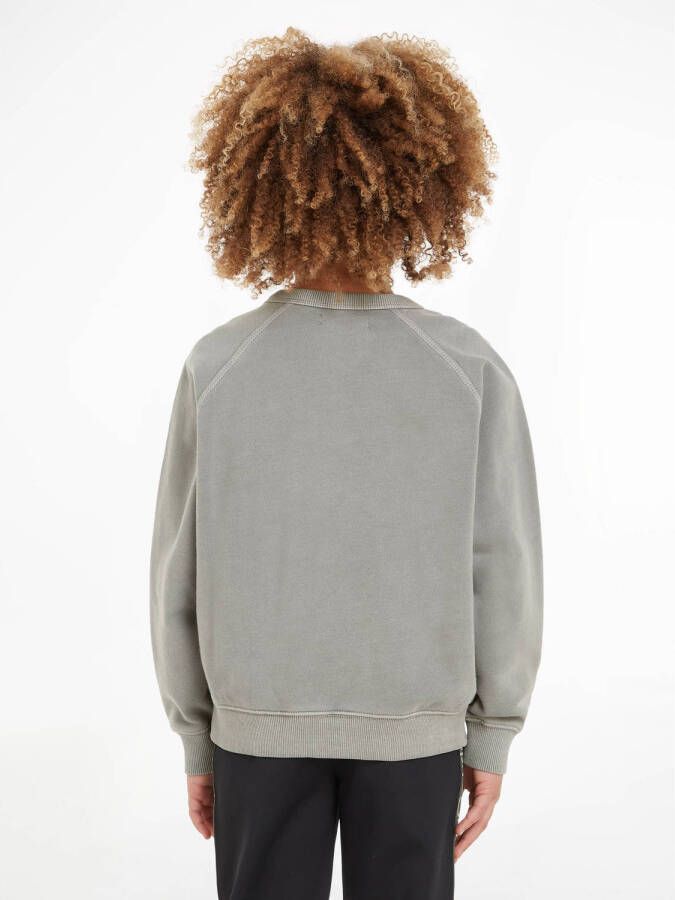 Calvin Klein sweater grijs