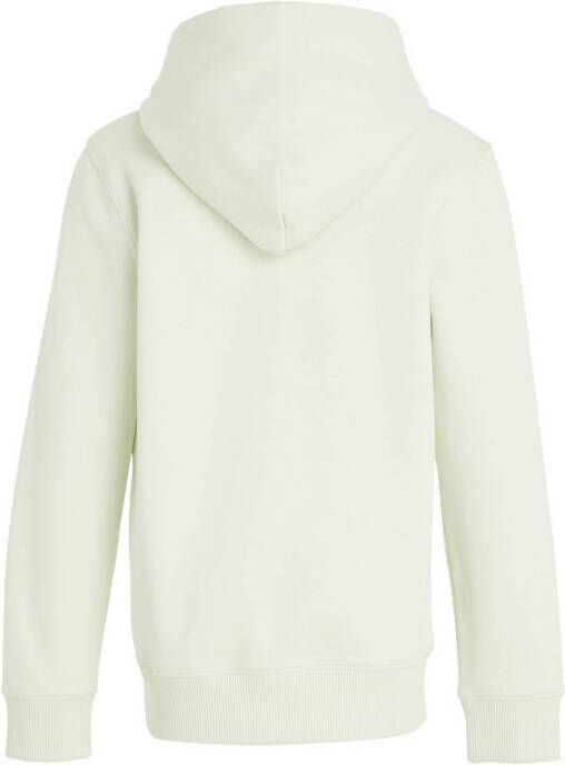 Calvin Klein unisex hoodie met logo licht mintgroen