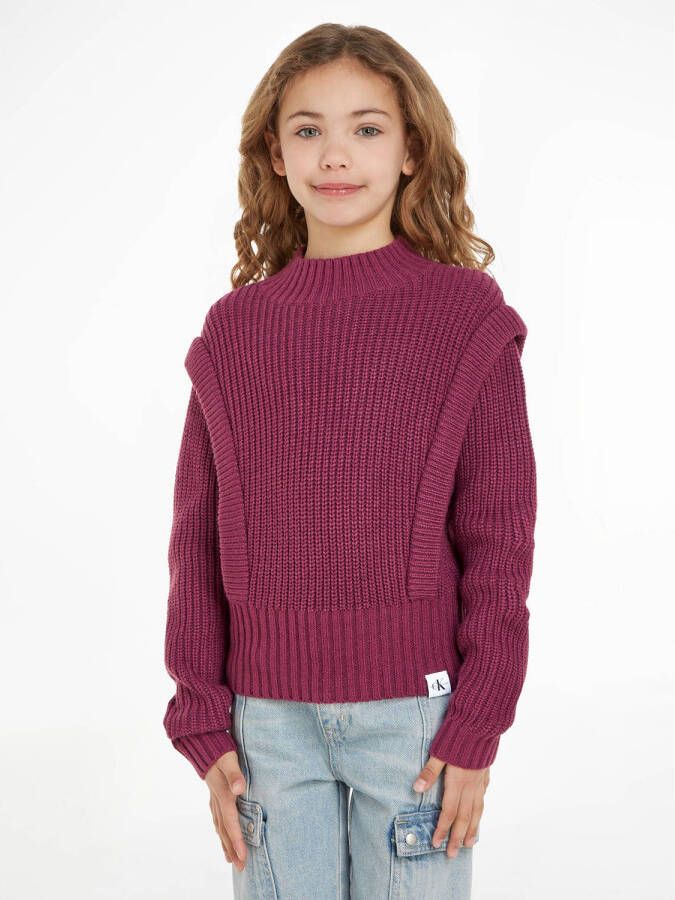 Calvin Klein trui paars