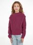 Calvin Klein trui paars Meisjes Katoen Opstaande kraag Effen 176 - Thumbnail 2