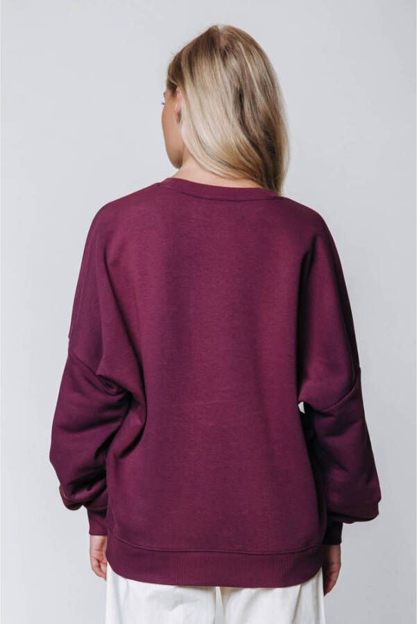 Colourful Rebel sweater Starlight Patch Dropped Shoulder Sweat met tekst en patches burgundy