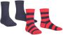 Falke Happy Stripe sokken set van 2 rood donkerblauw (set van 2) Katoen 23-26 - Thumbnail 4