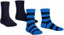 Falke Happy Stripe sokken set van 2 zwart blauw Katoen 23-26 - Thumbnail 4