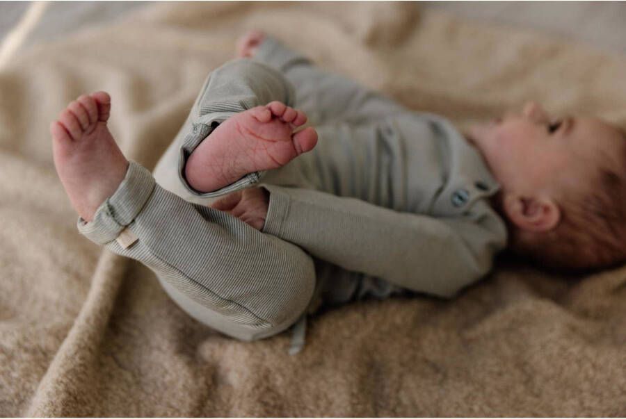 LEVV baby gestreepte regular fit broek LNESTORNOS van katoen zachtgroen