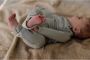 LEVV baby gestreepte regular fit broek LNESTORNOS van katoen zachtgroen 44 - Thumbnail 2