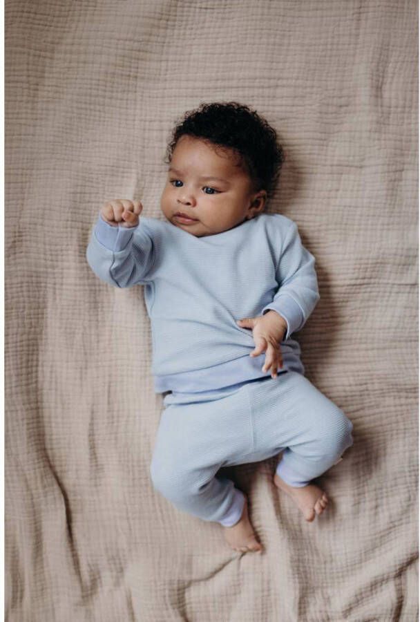 LEVV baby gestreepte sweater LNEELTJENOS blue dust