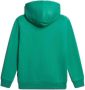 Napapijri hoodie K B-BOX H 1 met logo frisgroen Sweater Jongens Sweat (duurzaam) Capuchon 176 - Thumbnail 2