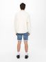 ONLY & SONS Jeansshort ONSPLY LIGHT BLUE 5189 SHORTS DNM NOOS - Thumbnail 7