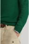 Polo Ralph Lauren Geborduurde Groene Jersey Sweaters Green Heren - Thumbnail 4