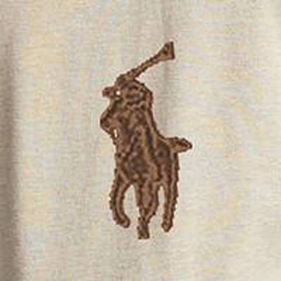 POLO Ralph Lauren polo met logo expedition dune heather