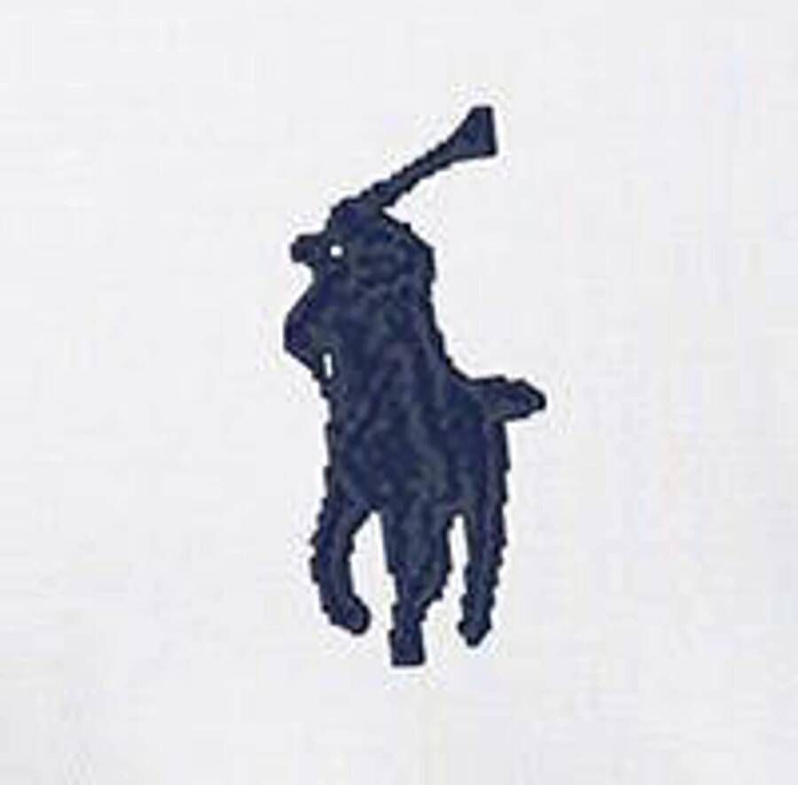 POLO Ralph Lauren polo met logo white