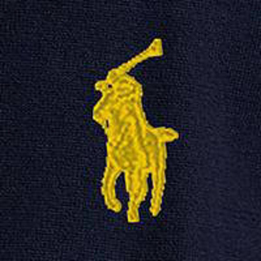 POLO Ralph Lauren pullover met printopdruk en borduursels navy combo