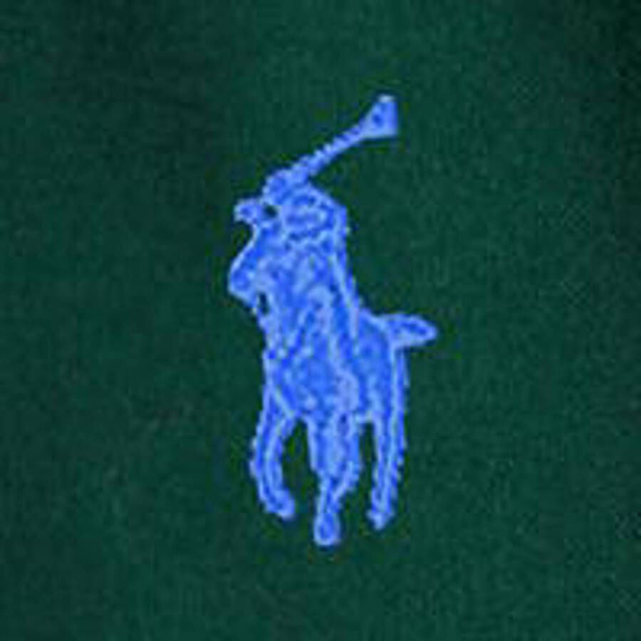 POLO Ralph Lauren slim fit overhemd met logo moss agate