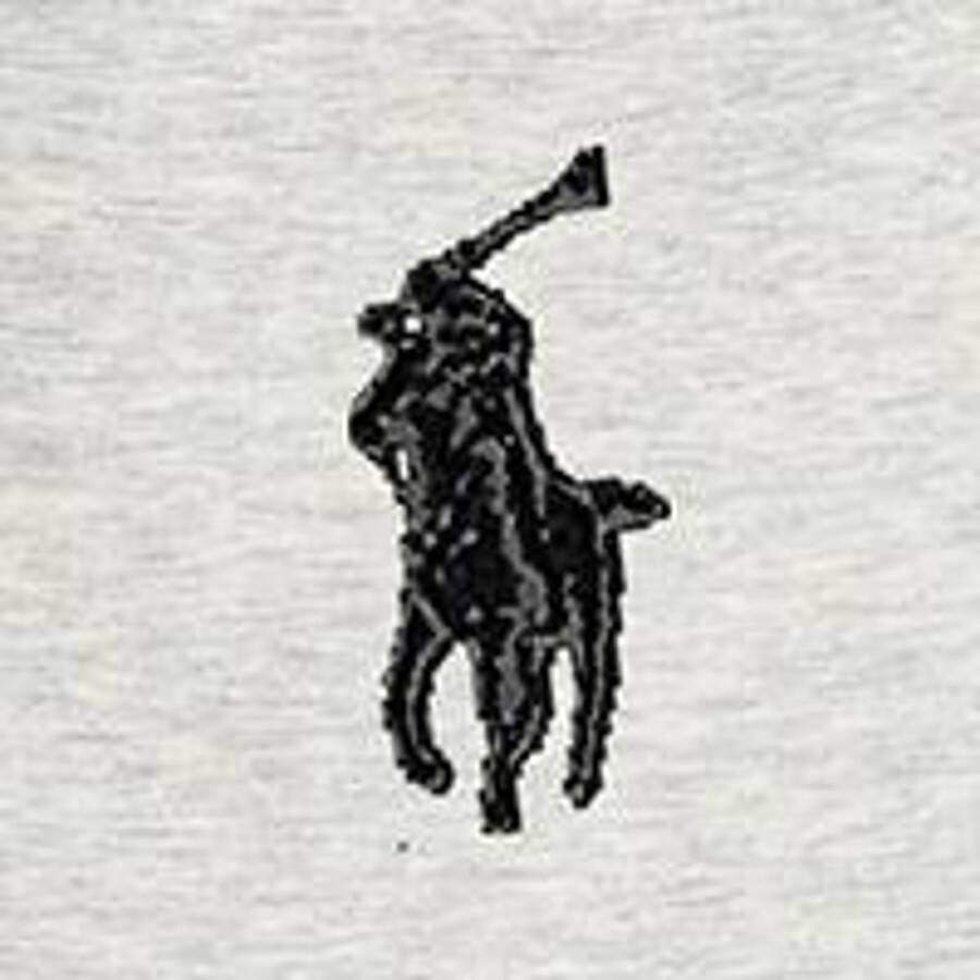 POLO Ralph Lauren sweater met logo lt sport heather