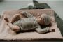 Snoozebaby speelkleed C ful Playing groen Boxkleed - Thumbnail 3