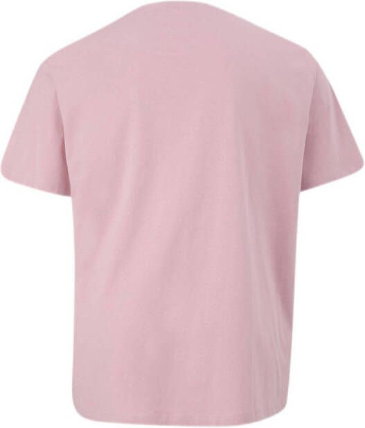 s.Oliver Big Size regular fit T-shirt Plus Size met printopdruk roze