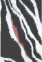 S.Oliver voorgevormde triangel bikinitop met zebraprint zwart wit - Thumbnail 3