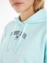 Tommy Jeans Tommy J Sweaters Light Blue Blauw Dames - Thumbnail 4